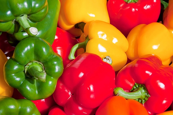 ارزآوری بیش از 70 میلیون دلاری صادرات فلفل دلمه‌ای اصفهان