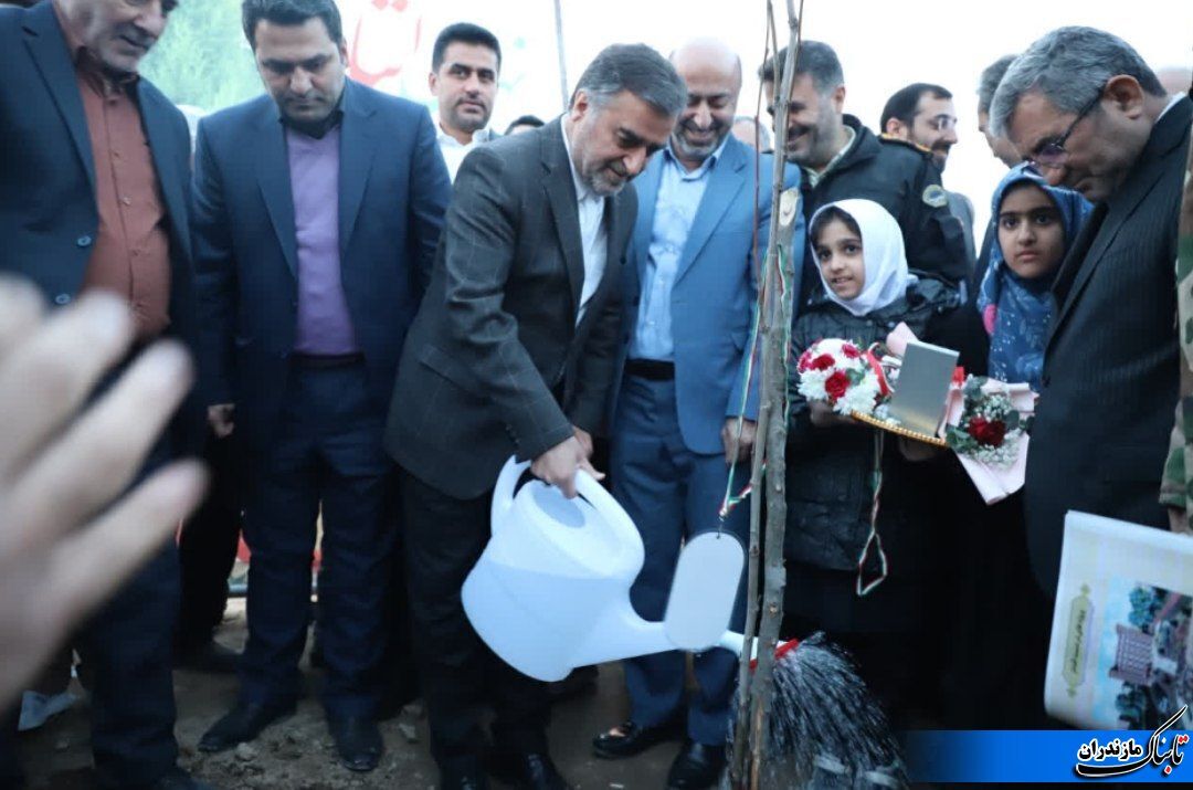 با حضور استاندار؛ غرس ۴۳۷ نهال در نکا آغاز شد / توسعه درخت بومی انجیلی بر مازندران تکلیف شد / تمدن مازندران با حفظ منابع طبیعی گره خورده است