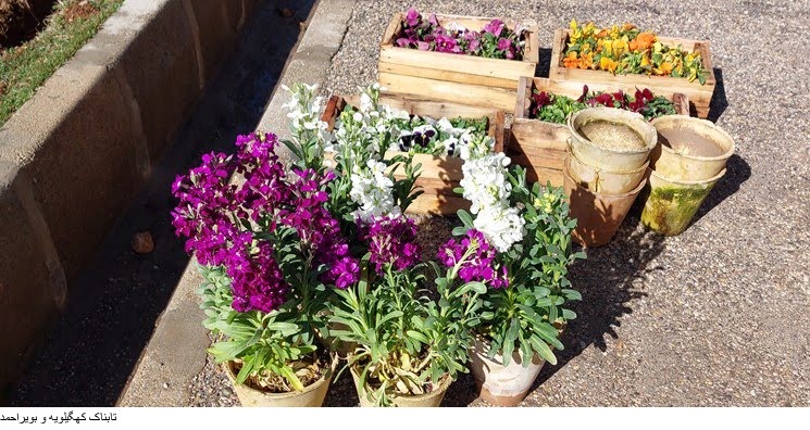 کارآمدی و سنگ تمام سرپرست شهرداری سیسخت در 4ماه گذشته برای این شهر کارآمدی و سنگ تمام سرپرست شهرداری سیسخت در 4ماه گذشته برای این شهر