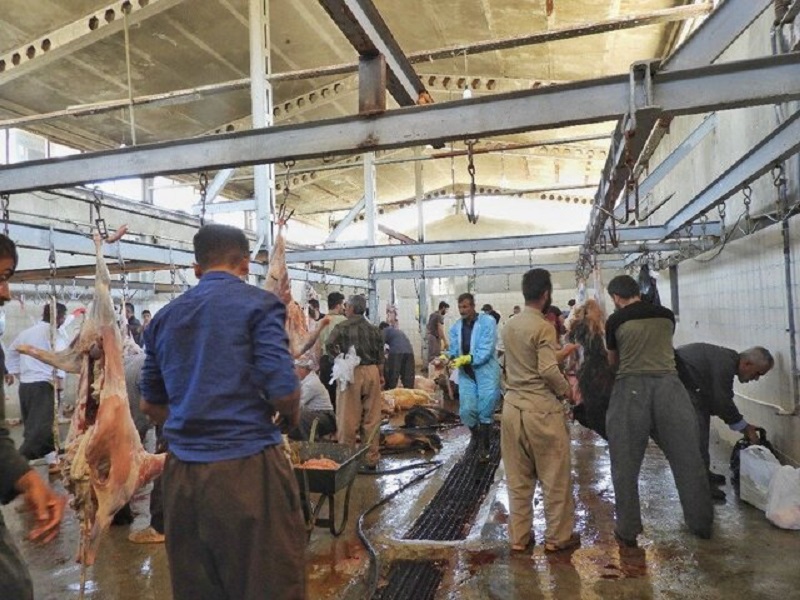 آیین بزرگ قربانی در