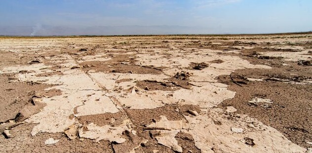 گرد و غبار تالاب صالحیه هوای البرز، تهران و قزوین را آلوده میکند/ وزارت کشاورزی فقط به فکر توسعه کشت است و محیط زیست برایش مهم نیست!! گرد و غبار تالاب صالحیه هوای البرز، تهران و قزوین را آلوده میکند/ وزارت کشاورزی فقط به فکر توسعه کشت است و محیط زیست برایش مهم نیست!!