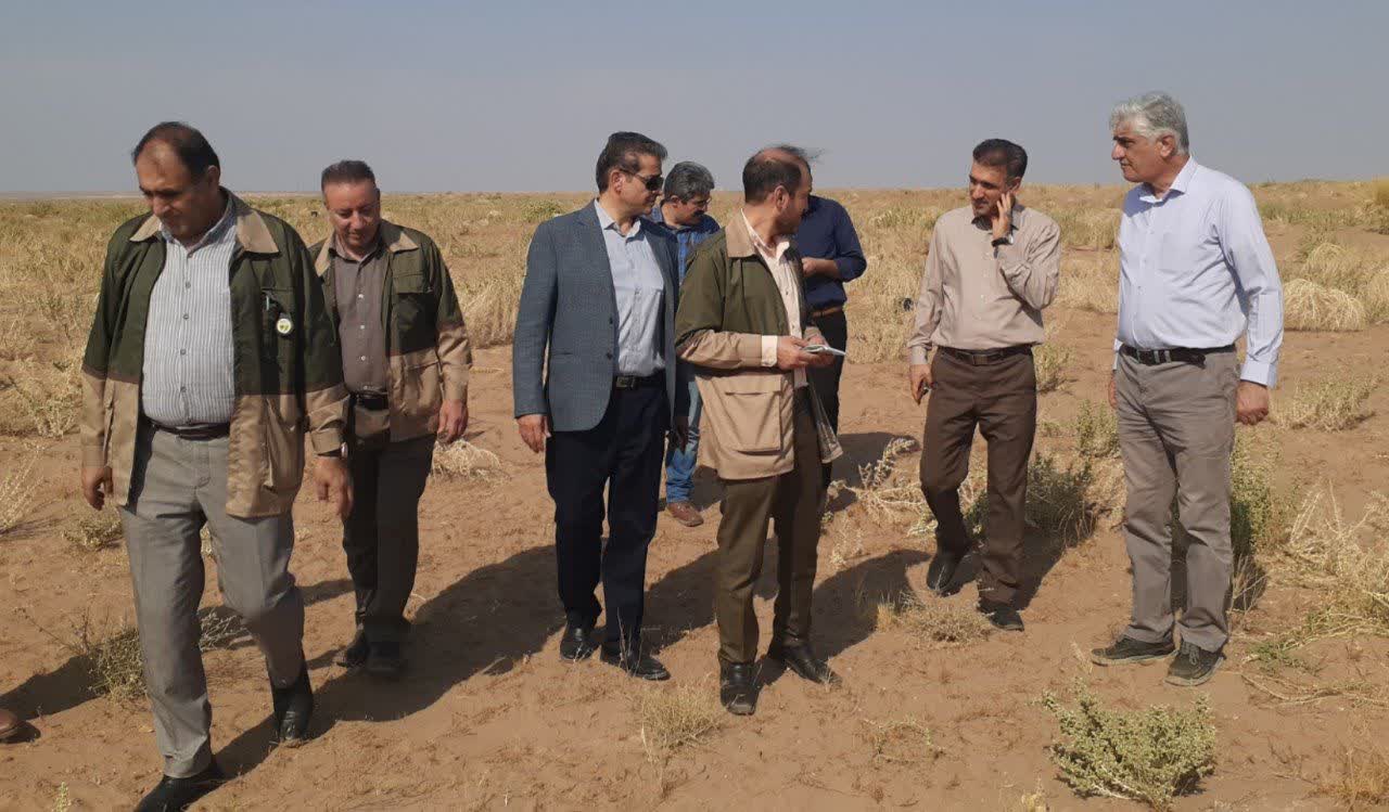 تبدیل 1/4دهم میلیون هکتار از عرصه های بیابانی کشور به جنگلهای دست کاشت