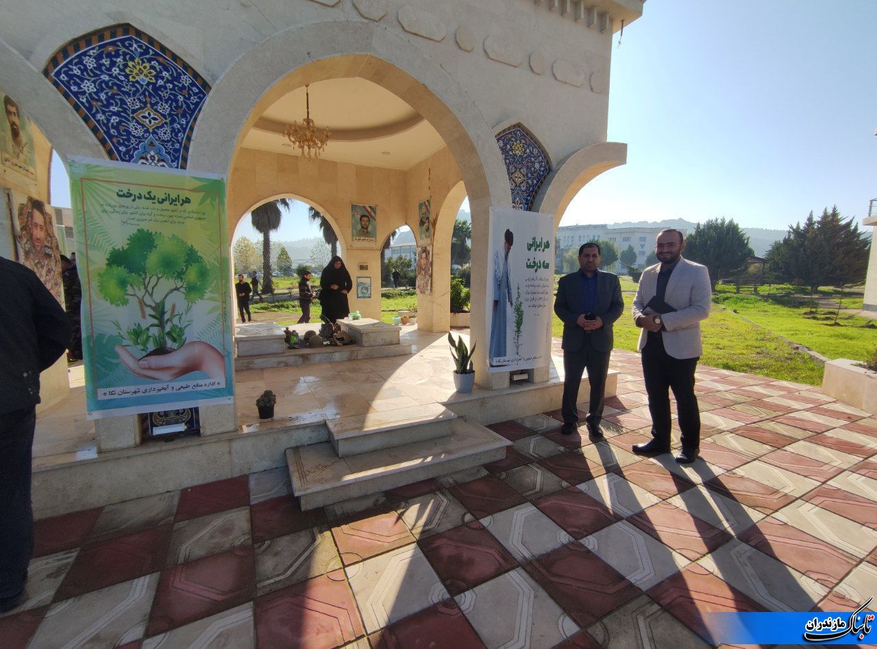 از دادستان شهرستان می‌خواهم اگر مقدور است، در برخورد با خاطیان، «نهال‌کاری» به عنوان جبران در نظر گرفته شود.