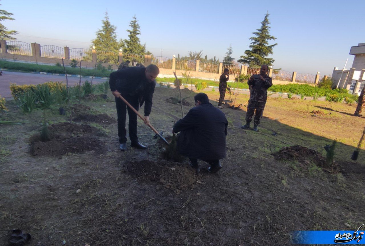 از دادستان شهرستان می‌خواهم اگر مقدور است، در برخورد با خاطیان، «نهال‌کاری» به عنوان جبران در نظر گرفته شود.