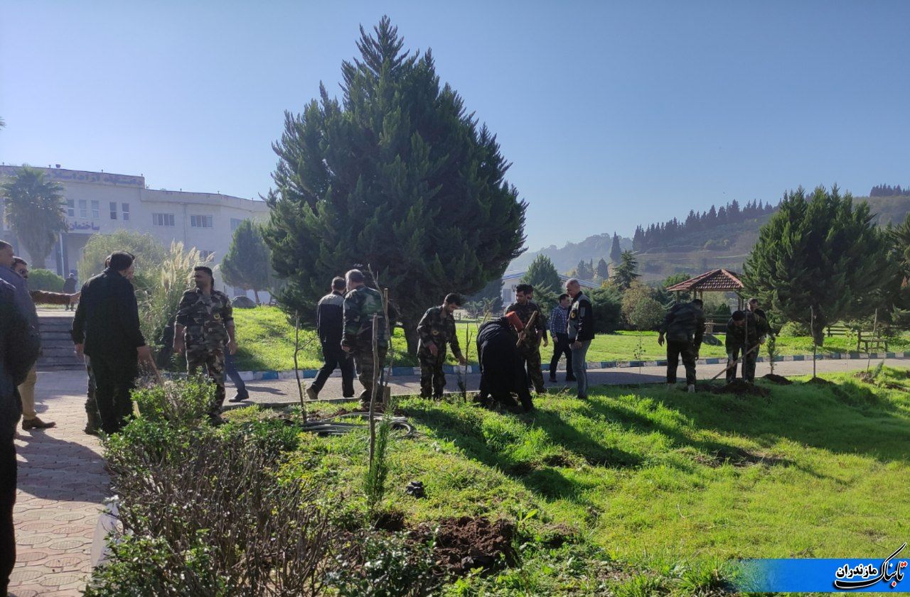 از دادستان شهرستان می‌خواهم اگر مقدور است، در برخورد با خاطیان، «نهال‌کاری» به عنوان جبران در نظر گرفته شود.
