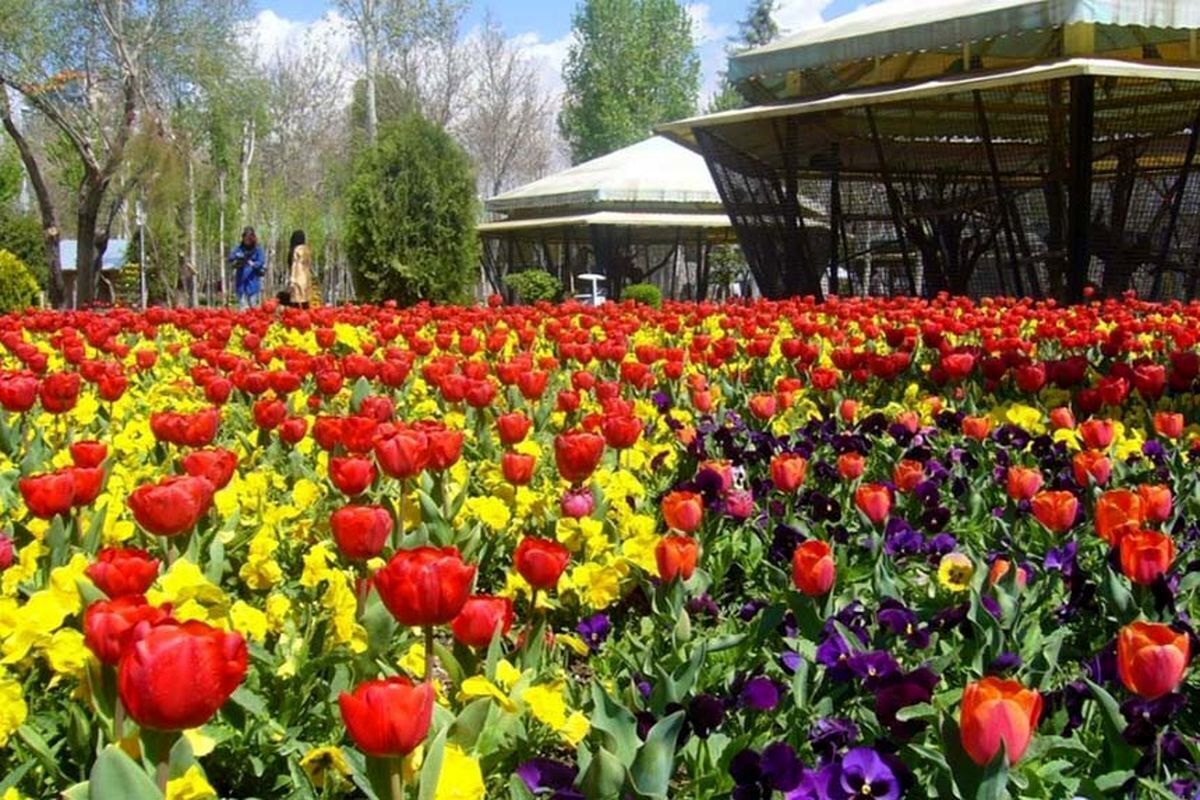 چرا باغ گلهای کرج تعطیل شد؟ چرا باغ گلهای کرج تعطیل شد؟