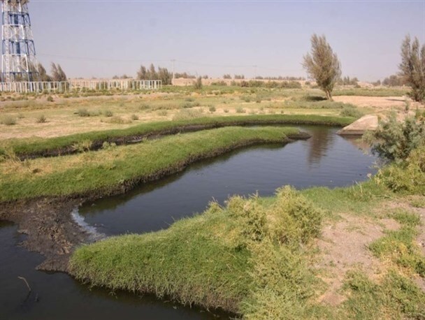 آبیاری ۷۰۰ هکتاری زمینهای کشاورزی شیراز با پساب فاضلاب