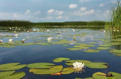 راهنمای سفر به کرمانشاه در فصل تابستان راهنمای سفر به کرمانشاه در فصل تابستان