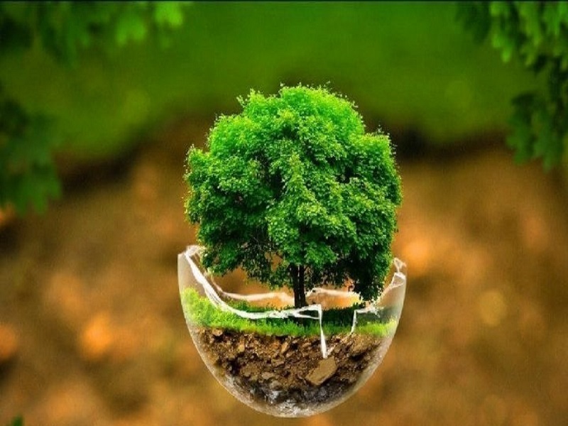 مروری بر چالشهای زیست محیطی کرمانشاه