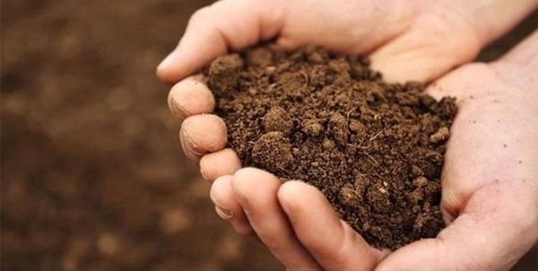 بیش از ۷۸ درصد فرونشستها عوامل انسانی دارند