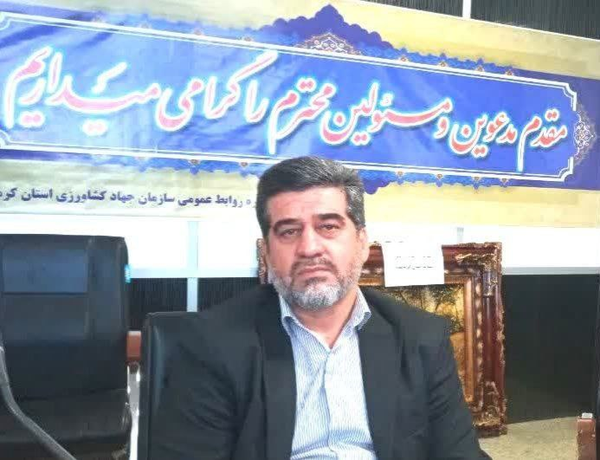 فعالیت یکی از بزرگترین مجتمع‌های تولید ماهیان سردابی کشور در ریجاب/میزان تولید ماهیان زینتی در استان بیش از پنج میلیون قطعه است