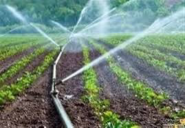 با اجرای طرح کنترل آب&zwnj;های مرزی کردستان، اراضی دیم به آبی تبدیل می شود