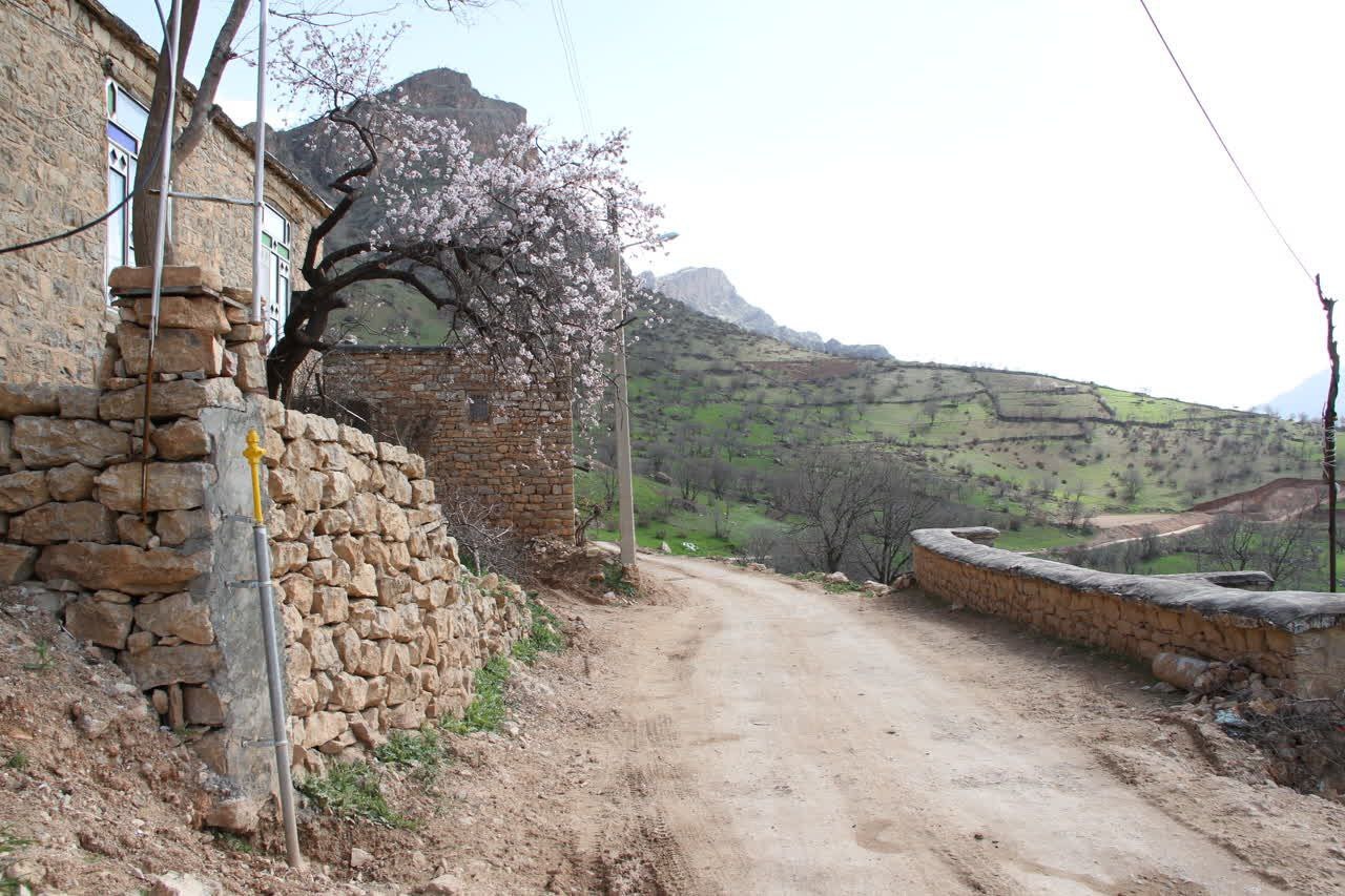 در سال 1403 تعداد 5 هزار و 94 علمک گاز در استان کردستان نصب شده است در سال 1403 تعداد 5 هزار و 94 علمک گاز در استان کردستان نصب شده است