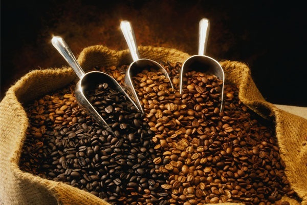 انتخاب نوع دانه قهوه برای اسپرسوساز انتخاب نوع دانه قهوه برای اسپرسوساز