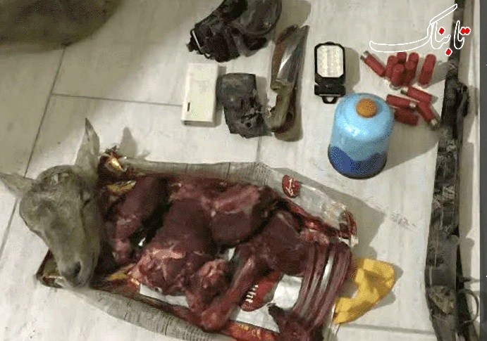 شکارچی بز وحشی در کولگ مهران زمین گیر شد شکارچی بز وحشی در کولگ مهران زمین گیر شد