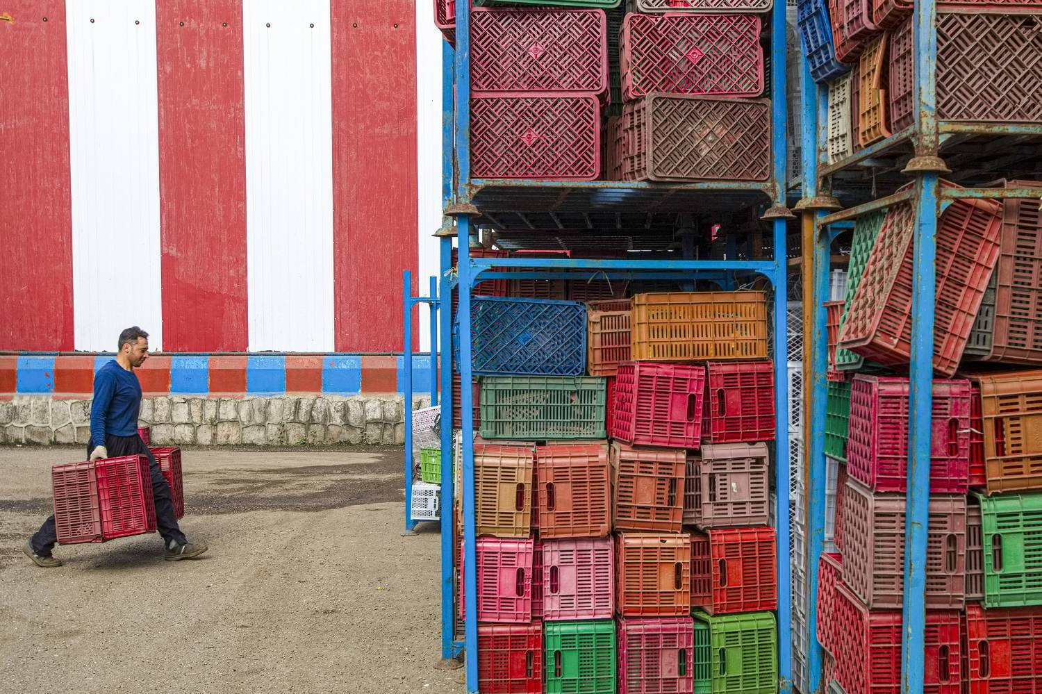 به دوش کشیدن بار زندگی با دستان پر از میوه/ روایت معیشت و شرافت زنانه به دوش کشیدن بار زندگی با دستان پر از میوه/ روایت معیشت و شرافت زنانه