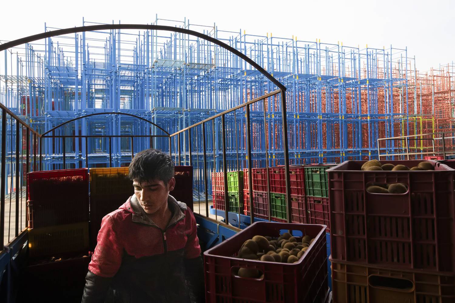 به دوش کشیدن بار زندگی با دستان پر از میوه/ روایت معیشت و شرافت زنانه به دوش کشیدن بار زندگی با دستان پر از میوه/ روایت معیشت و شرافت زنانه