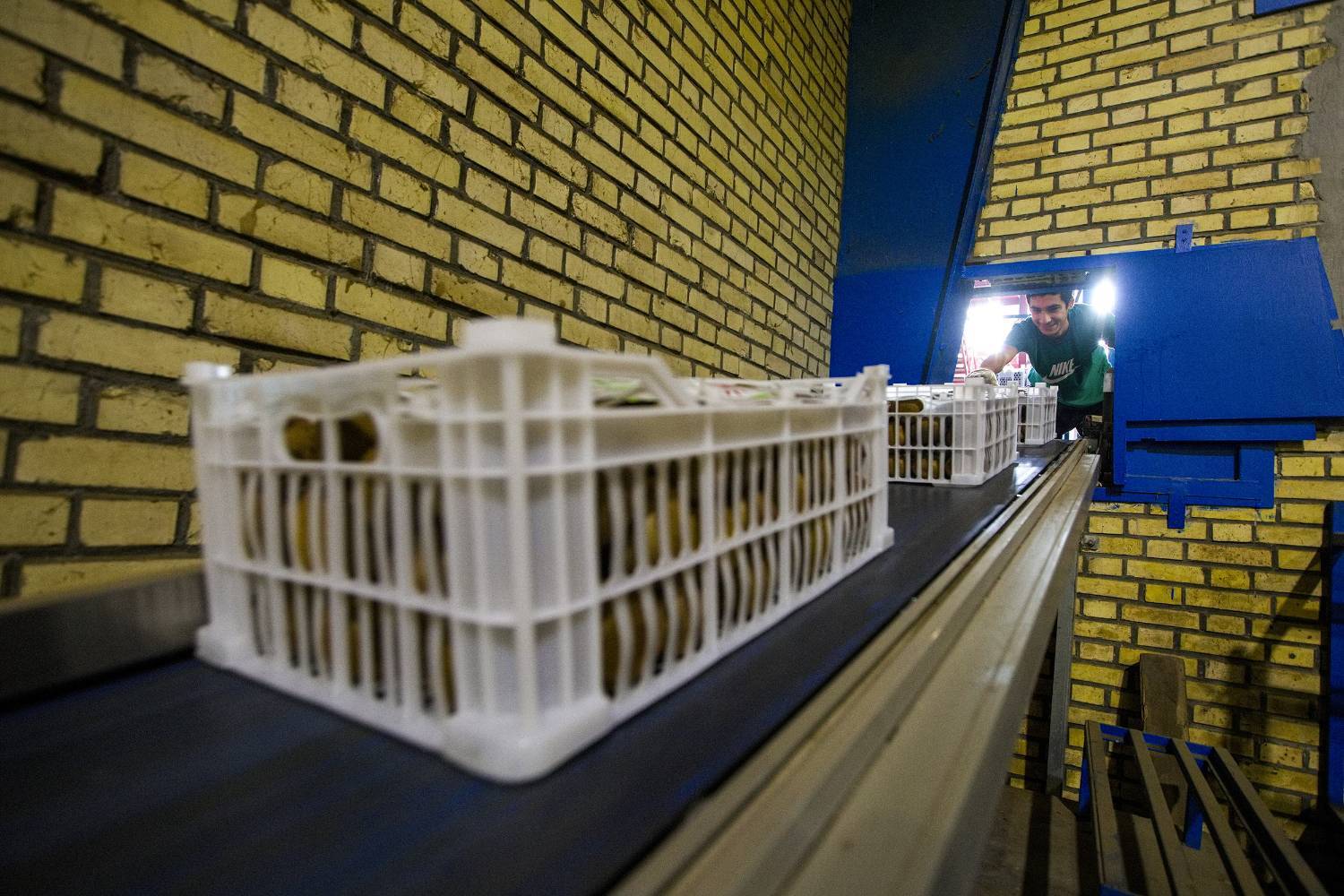 به دوش کشیدن بار زندگی با دستان پر از میوه/ روایت معیشت و شرافت زنانه به دوش کشیدن بار زندگی با دستان پر از میوه/ روایت معیشت و شرافت زنانه