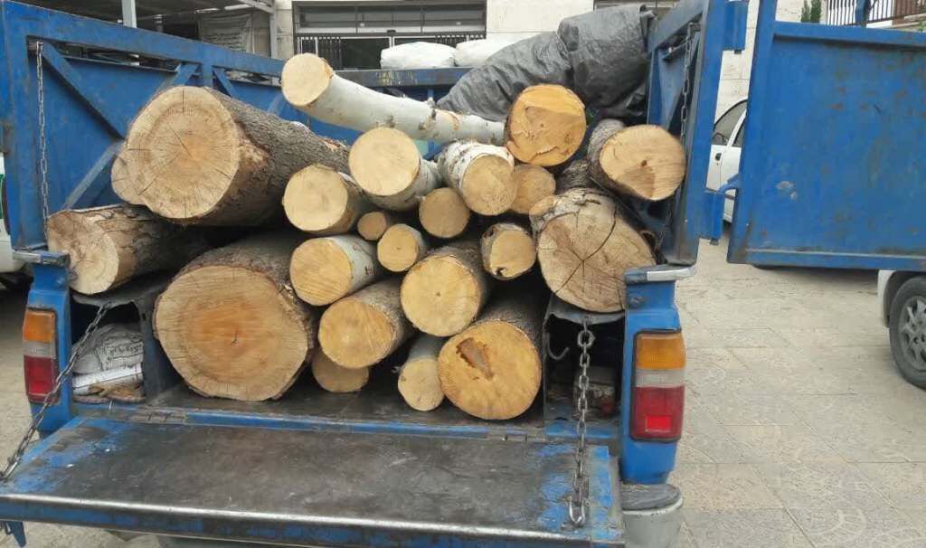 کشف ۳ تن چوب جنگلی قاچاق در خلخال