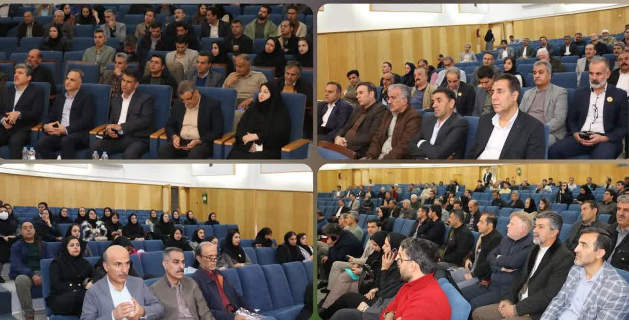 کردستان پیشتاز اجرای طرحهای حفاظتی خاک و پایداری کشاورزی دیمزارها کردستان پیشتاز اجرای طرحهای حفاظتی خاک و پایداری کشاورزی دیمزارها