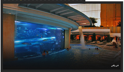 لاس وگاس شهری است که برای بسیاری چیزها معروف است ، از جمله استخرهای منحصر بفردش. اما تنها استخر تکه های طلاست که به شما امکان شنا کردن درست در کنار یک آکواریوم را می دهد.